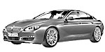 BMW F06 C20C0 Fault Code